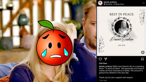 實境秀28歲女星遭酒駕撞擊爆頭亡 詛咒?節目死於非命第4人