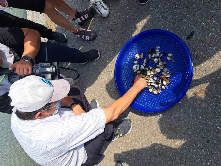 農業局派員檢視文蛤死亡情形。農業局提供