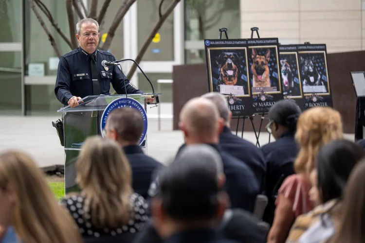 洛杉磯表揚殉職的警犬。美聯社