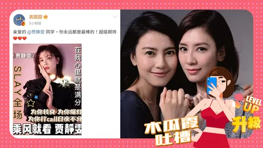 木瓜霞|不撕逼不較勁 有一種友誼叫賈靜雯和高圓圓