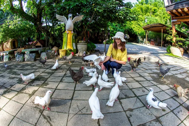 大坑休閒農場。觀旅局提供