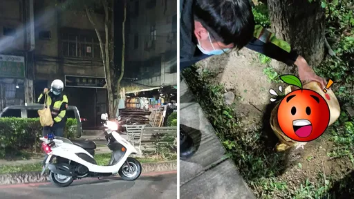 骨灰罈遭棄分隔島!民眾超毛慌報案 勇警到場翻找「誰家祖先」?