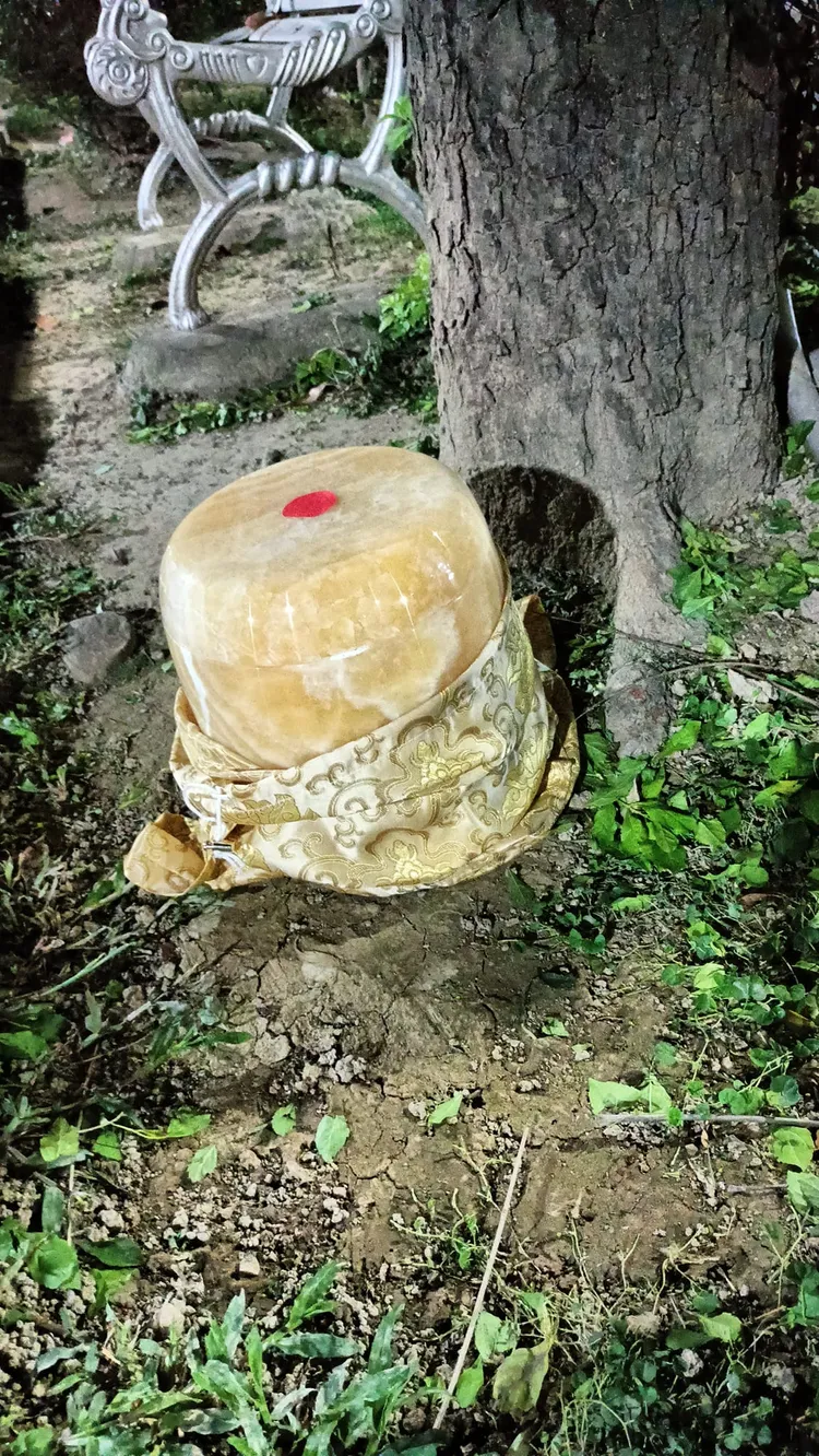 疑似骨灰罈遭棄置在中央分隔島的路樹下。翻攝自臉書「爆料公社」