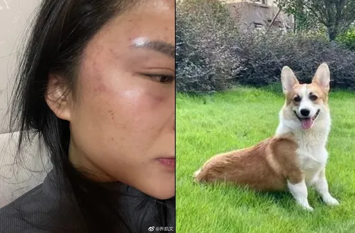 醉漢亂刀殺柯基威嚇妻子「聽話」 官員竟稱「家暴傳言不實」