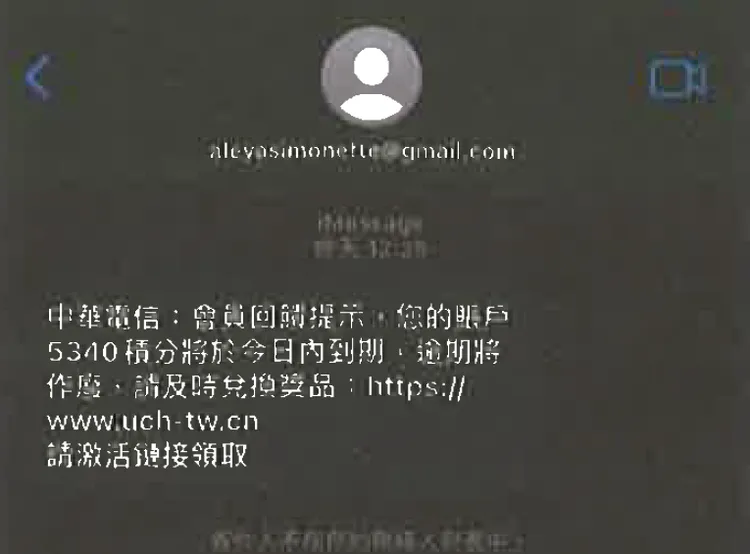 王女不慎點開釣魚連結，慘遭詐66萬元。翻攝畫面