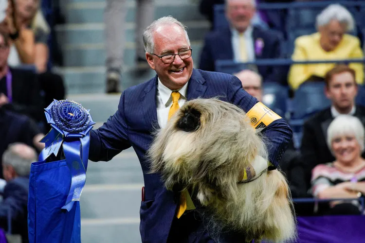 北京狗「倫米」獲得玩具犬組的冠軍。路透社