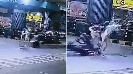 機車直衝「撞上一匹馬」　騎士斃命乘客重傷