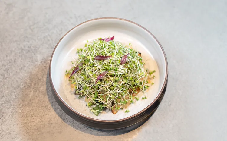 綠藤生機Ｘ小小樹食聯名餐點「三日苗山丘」，結合溫沙拉以及獨創的靈魂醬汁「三日苗油醋」，每一口都能吃進高濃度長效營養「蘿蔔硫素」。業者提供