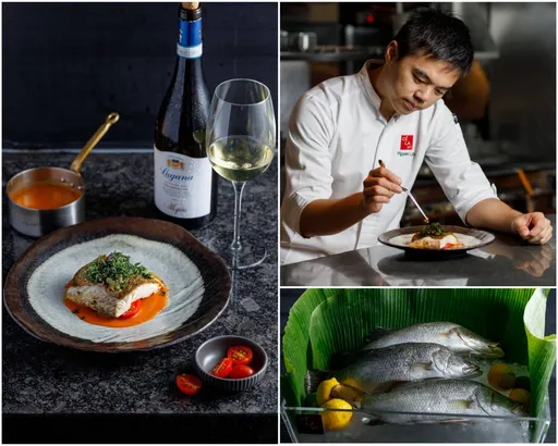 頂尖美食登台！海鱸魚界 LV 「黃金海鱸魚」多款料理