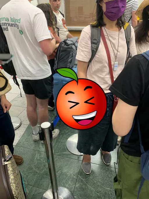 赴日旅遊見女子手握「藍色小本本」 他秒醒覺:他鄉遇故知!