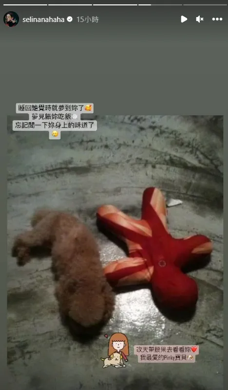 Selina（任家萱）夢到過世的愛犬Pinky。翻攝Selina的IG