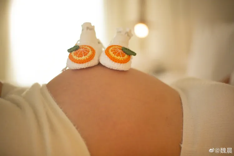 魏晨以繡著柳橙的嬰兒鞋答謝粉絲會「樂橙」。翻攝魏晨微博