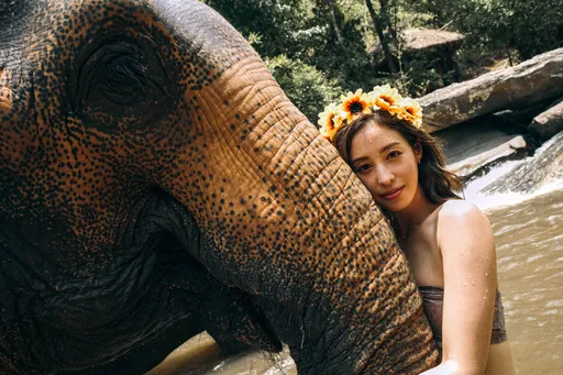 莫允雯心痛刺青飛清邁圓夢 迎36歲曬「象親象愛」閃照