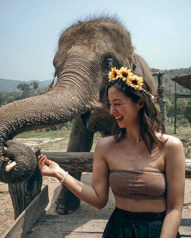 莫允雯和大象很有緣份。莫允雯提供