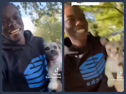 猴死囝仔!搶寵物、闖民宅、拍惡作劇TikTok影片想紅 結果GG了