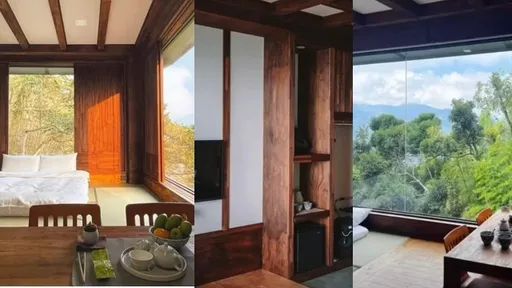 阿里山最美民宿!宛如仙境絕美景色曝 光看就舒壓了