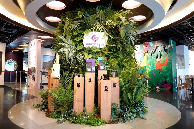 瓜地馬拉咖啡樹林中高達98%採用與森林生態並存的林蔭種植方式，達到雨林永續循環，科大店透過咖啡樹林與精品豆詮釋生態友善的氛圍。業者提供