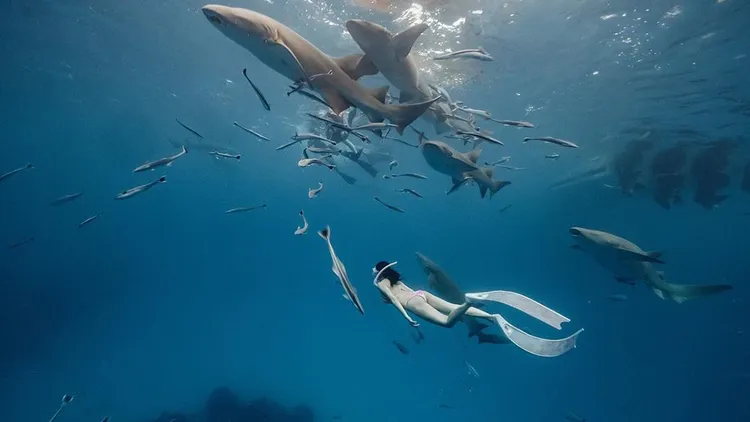 翻攝自謝侑芯IG