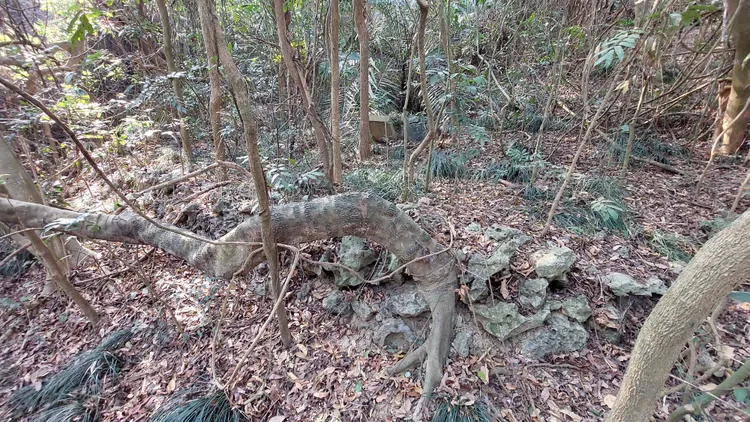 古墓幾乎都有堆石結構作為墓埕。凃建豐攝