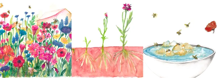 嬌蘭提出於居家保護蜜蜂的簡單3步驟，包括讓自家花園部分區域自然生長、種植花蜜植物、提供水源給蜜蜂等。品牌提供