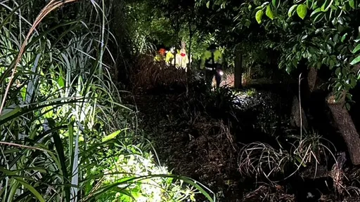 新北男上山採箭筍失聯 淋雨失溫!受困近10小時獲救