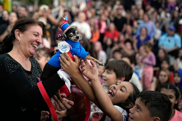 小朋友興奮摸著乖巧的狗狗。美聯社