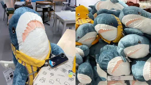 母大腸癌逝!「IKEA鯊鯊」讓沉默妹開口了 千人噴淚:我懂