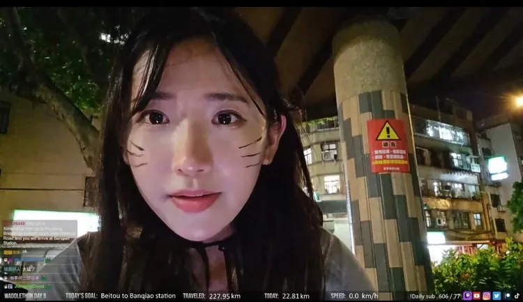 企鵝妹直播步行環台引起網友關注。取自企鵝妹直播
