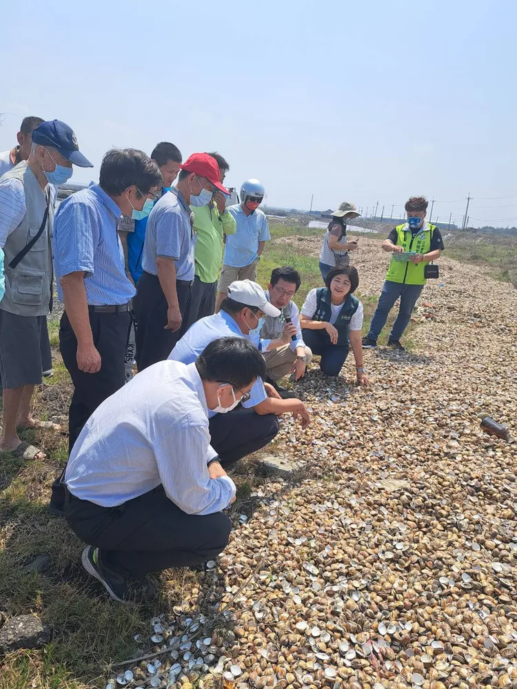 相關單位現勘文蛤災損。農業局提供