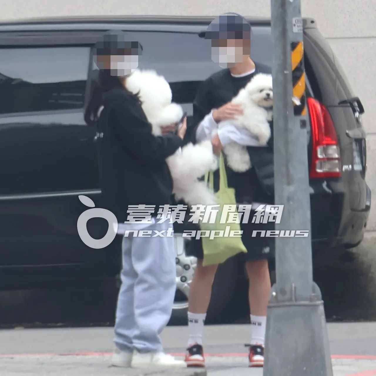 Jolin蔡依林16岁爱犬屋虎（左）素急送医，「超萌」社长陪同吸二手烟ＱＱ。特勤中心摄