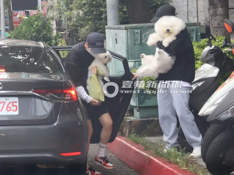 蔡依林16歲愛犬屋虎（右）素顏，和「超萌」社長被2女子抱下計程車。特勤中心攝