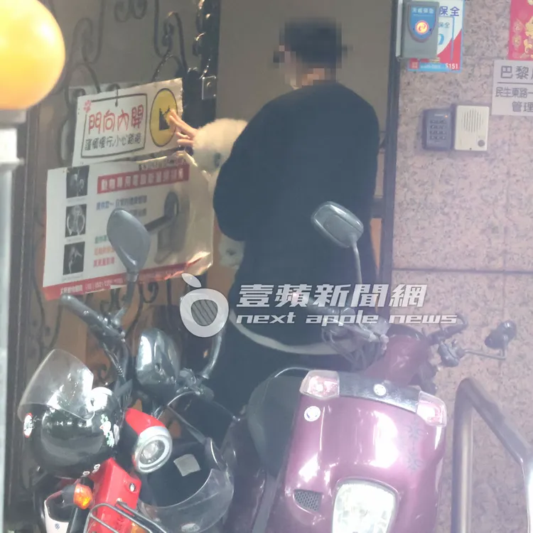 蔡依林16歲愛犬屋虎，下樓做動物電腦斷層掃描就醫，社長緊跟在後。特勤中心攝
