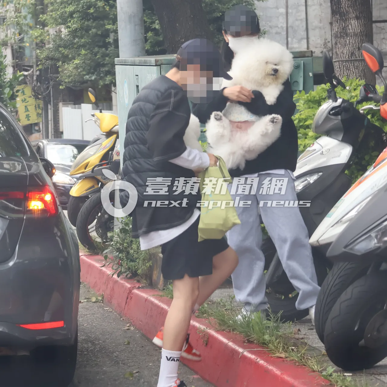 蔡依林爱犬屋虎（右）素颜，被年轻女孩抱下车，「超萌」社长在旁陪同。特勤中心摄