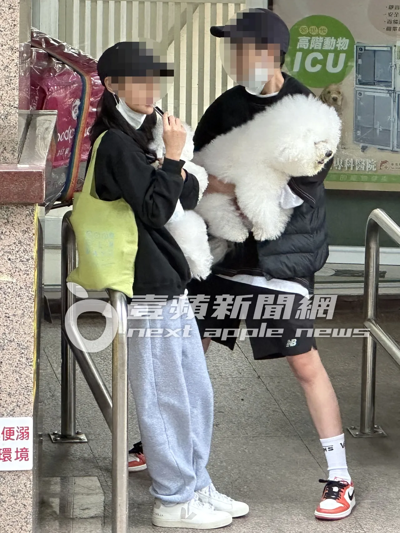 蔡依林爱犬屋虎（右）和社长，被女孩们抱著互相吸二手烟QQ。特勤中心摄