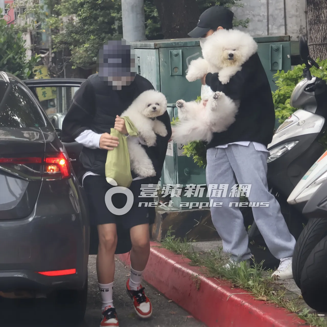 素颜的蔡依林爱犬屋虎（右），和社长正面合体「超萌」。特勤中心摄