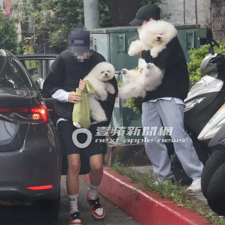 素顏的蔡依林愛犬屋虎（右），和社長正面合體「超萌」。特勤中心攝