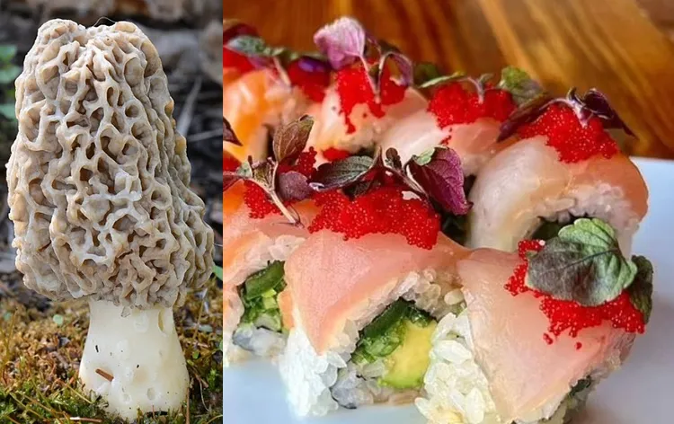 美國蒙大拿州的「戴夫壽司」發生集體食物中毒事件，造成2人死亡、41人身體不適，其中來自中國的食材「羊肚菌菇」（小圖）被懷疑是病毒源。翻攝Instagram/ Dave's Sushi