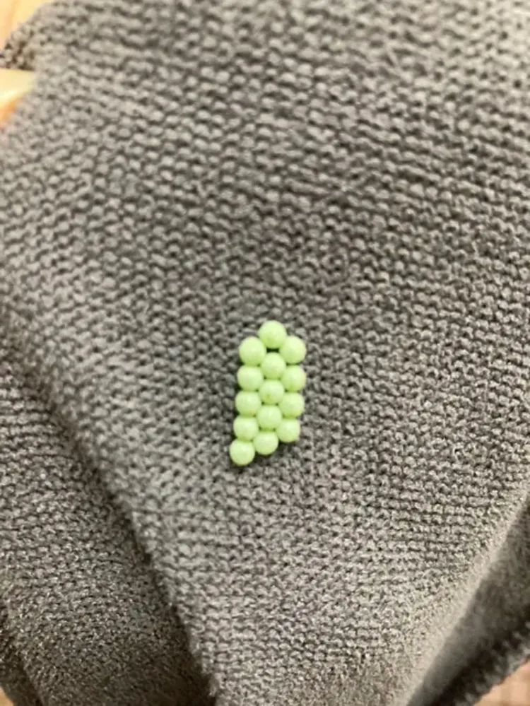 網友在Dcard分享洗好的毛巾居然發現螢光綠色蟲卵，一查才知是荔枝椿象在搞鬼。翻攝自Dcard