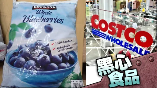 好市多毒莓風暴擴大！藍莓也驗出A肝　食藥署：美國進口逾15噸邊境攔下