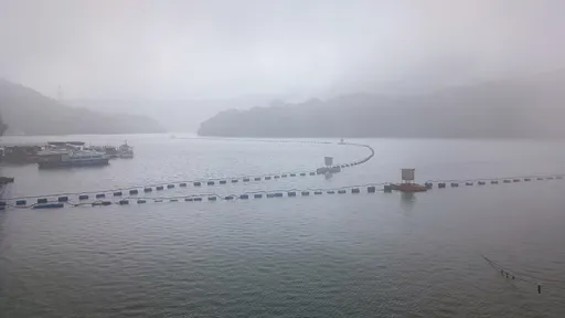 桃園雷電交加雨驟降　解渴啦！石門水庫進帳逾2百萬噸