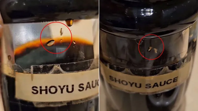 翻攝自《mStar》