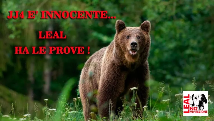 動保組織「LEAL」8日發聲，指稱「JJ4」是清白的。翻攝臉書/Leal.paginaufficiale