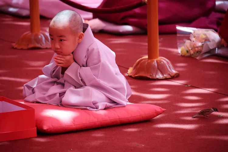 落髮完成，小沙彌身邊有一隻小麻雀。路透社