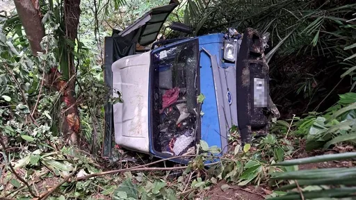 停车不慎滑落30公尺山谷 货车驾驶头部擦伤!警消救援送医