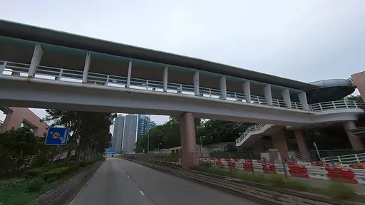 「揉胸摸陰」性騷天橋晨運80歲老婦 警追黑衣狼!竟是年僅19歲救生員