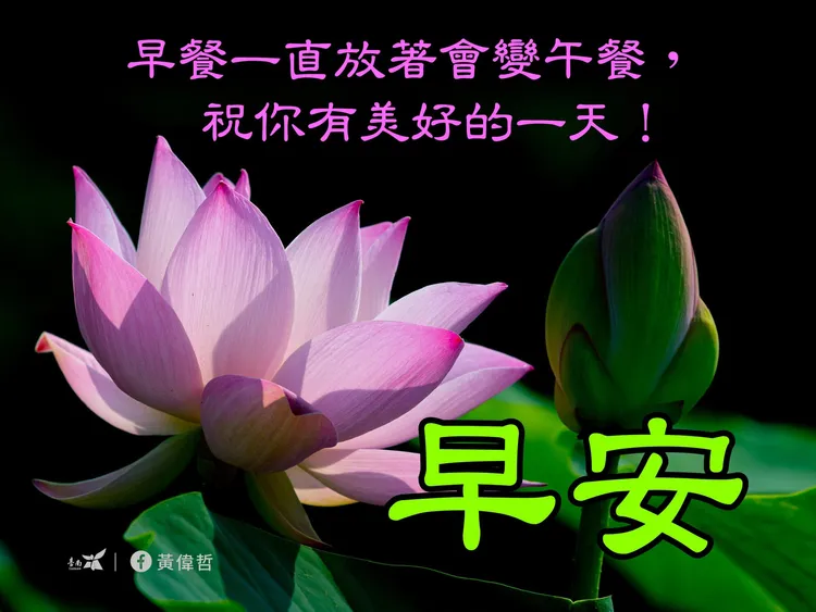 文字超廢卻無法反駁。市府提供