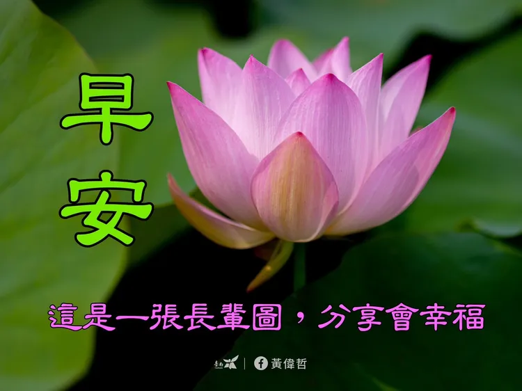 分享會幸福。市府提供