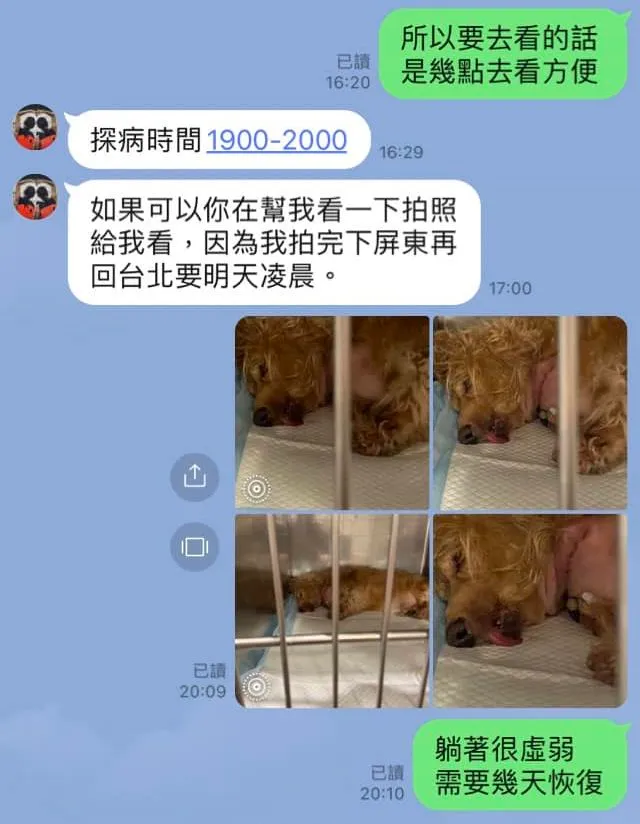 宋晉賢PO出的對話中，小甜甜提到要去屏東，翻攝宋晉賢臉書