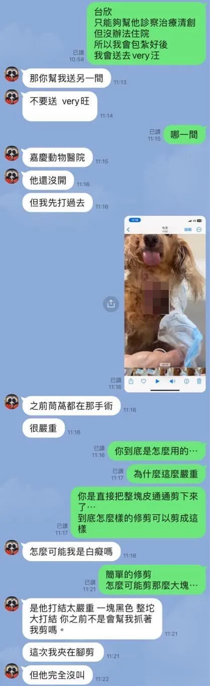 宋晉賢PO出與小甜甜的對話中，可知小甜甜剪茼蒿的毛造成受傷，他先帶去台欣動物醫院，之後依小甜甜指示帶去嘉慶動物醫院。翻攝宋晉賢臉書