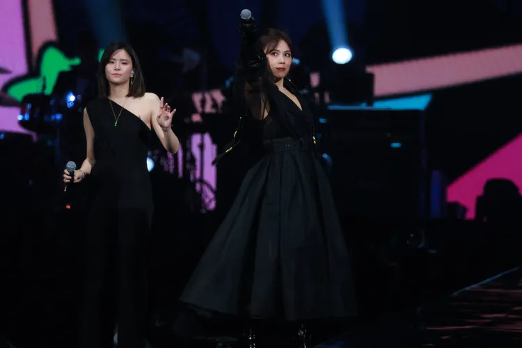 蔡健雅舞台魅力無限。彭欣偉攝